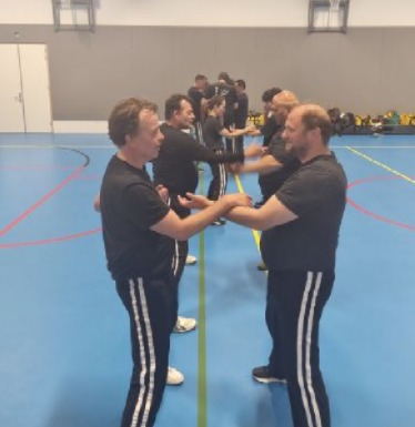Wing Chun training
